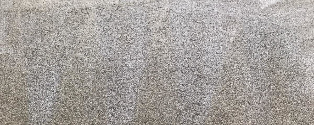 carpet cleaning in rancho santa margarita ca