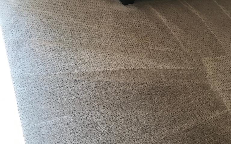 carpet cleaning in coto de caza ca
