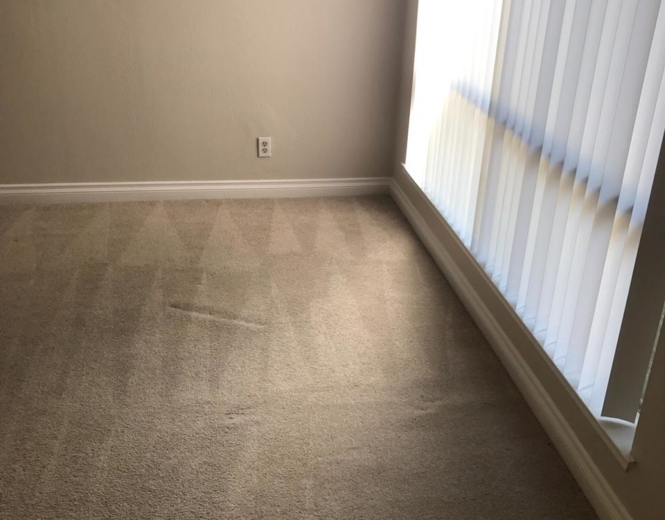 same day carpet cleaning in orange county