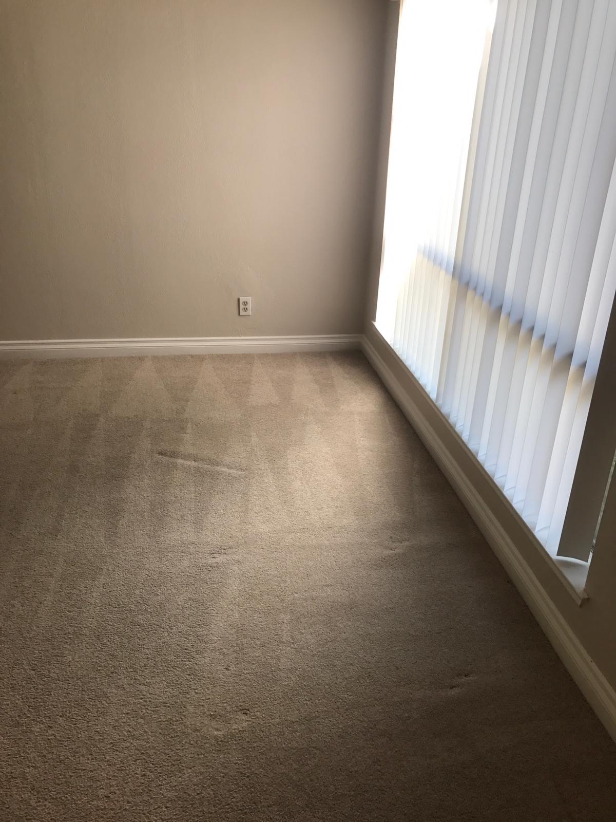 same day carpet cleaning in orange county