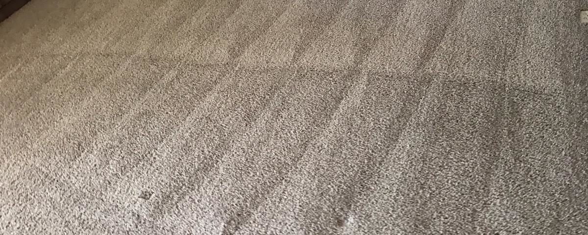 carpet cleaning in rsm