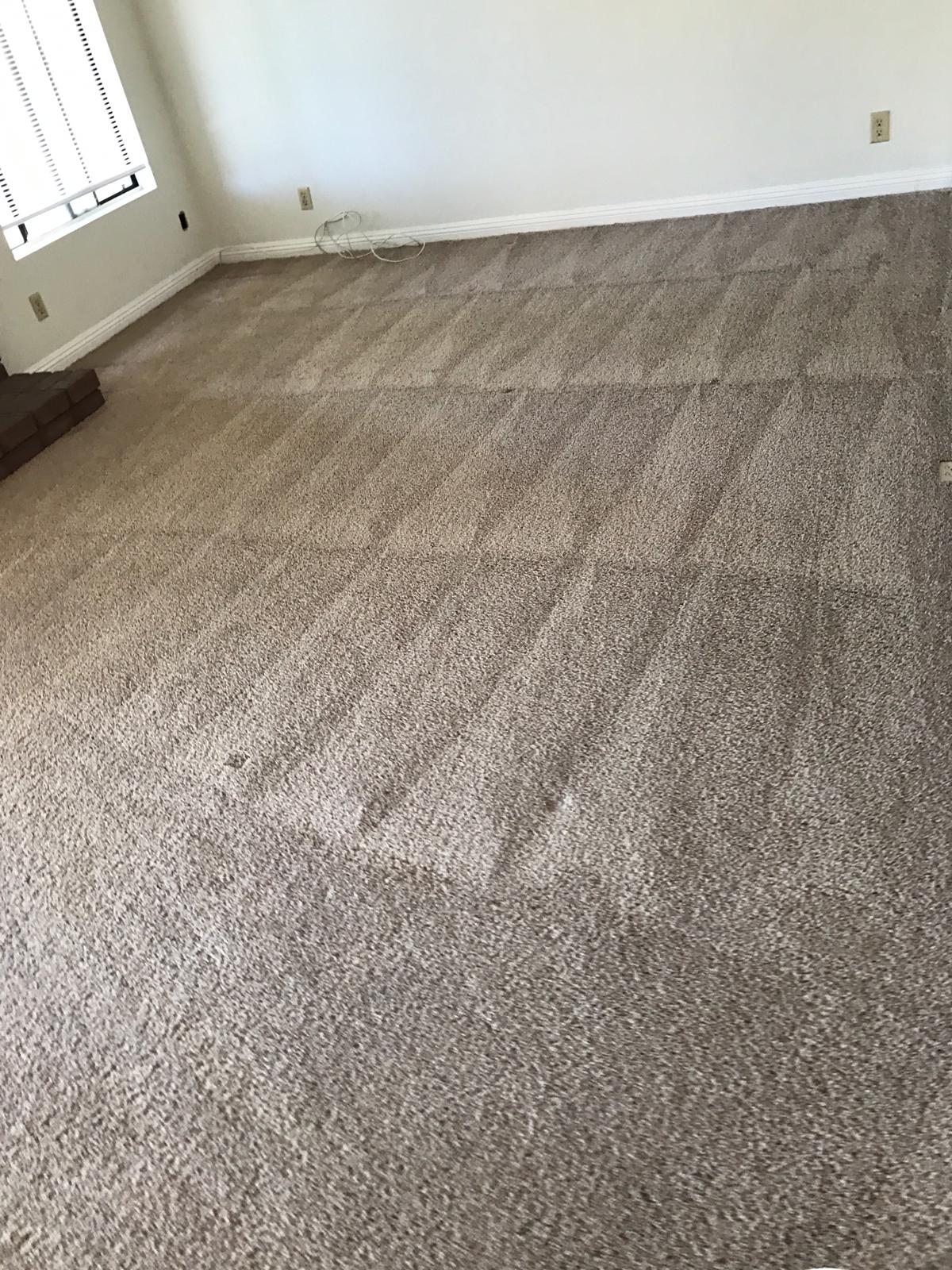 carpet cleaning in rsm