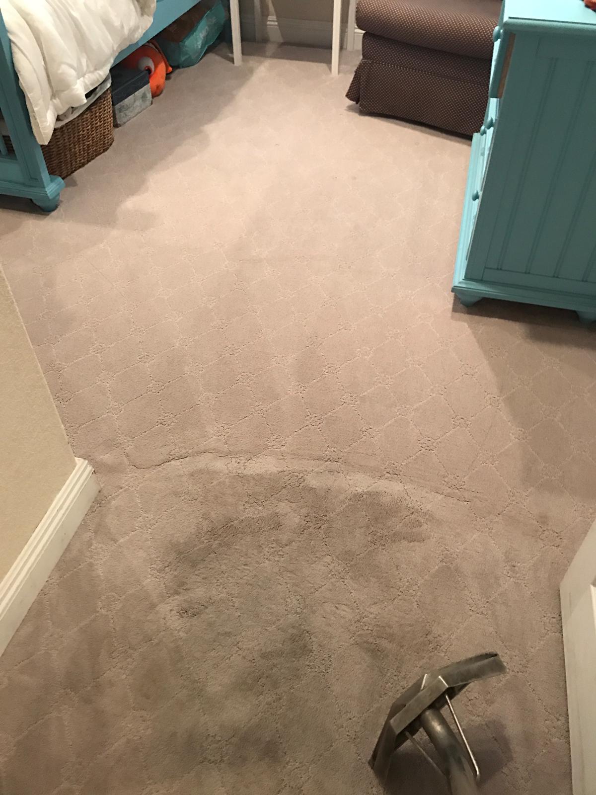 carpet cleaning rsm